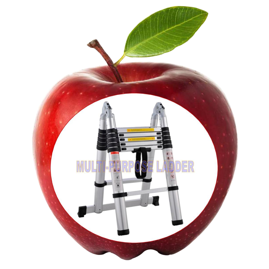 Tangg aluminium Telescopic